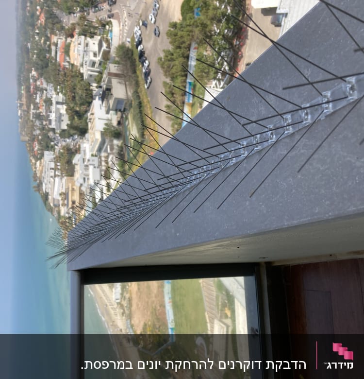 דוקרנים למניעת יונים על מעקה מרפסת